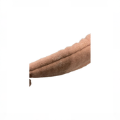 Shop Mabē The Monarch Carrier, Mocha at GoodBuy Gear