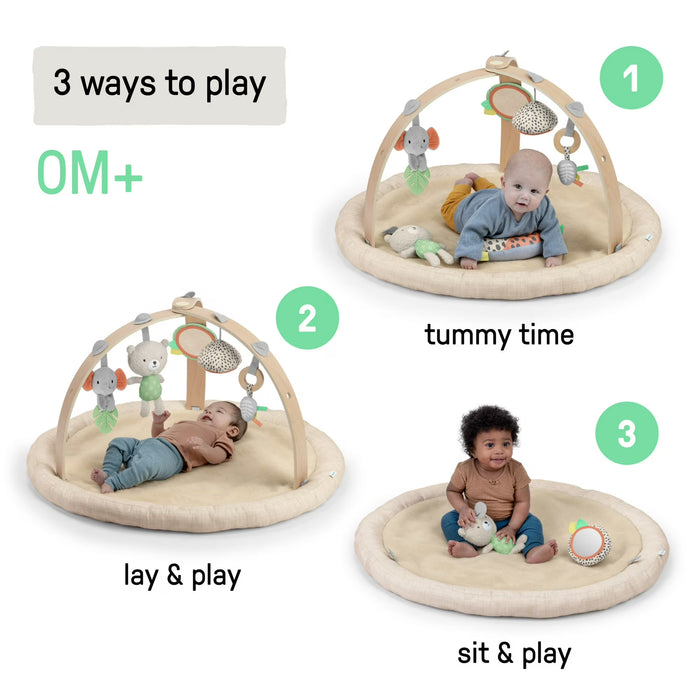 Ingenuity Every Season Baby Play Gym, Plush Lambswool