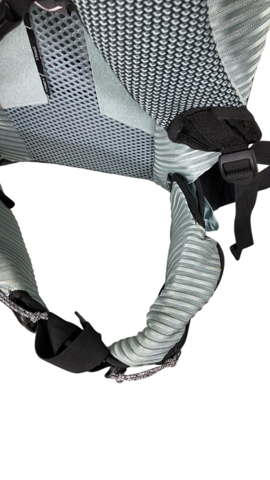 Shop Thule Sapling Child Carrier, Black at GoodBuy Gear
