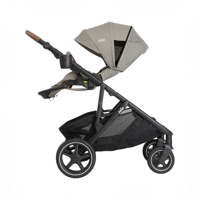 Shop Joie Chive Single-to-Double Stroller, 2025, Dove at GoodBuy Gear
