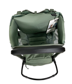 Shop Thule Sapling Child Carrier, Agave at GoodBuy Gear