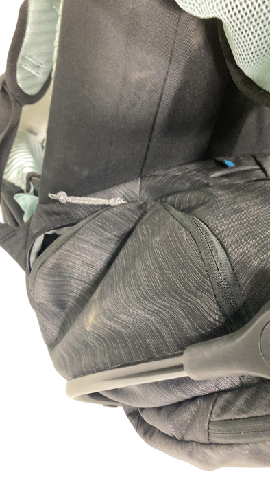 Shop Thule Sapling Child Carrier, Black at GoodBuy Gear