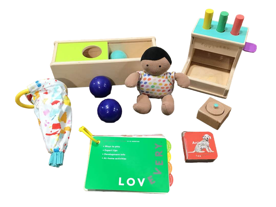 used Lovevery The Thinker Play Kit