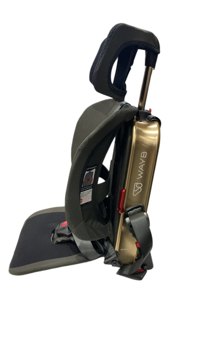 Shop WAYB Pico Portable Car Seat, 2023, Earth at GoodBuy Gear