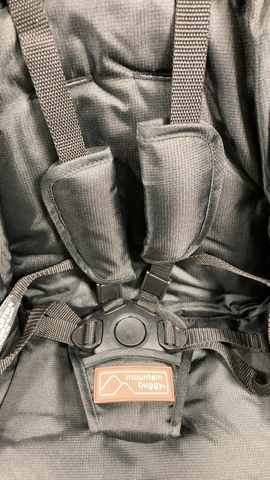 Shop Mountain Buggy Nano Duo Stroller, 2024, Black at GoodBuy Gear