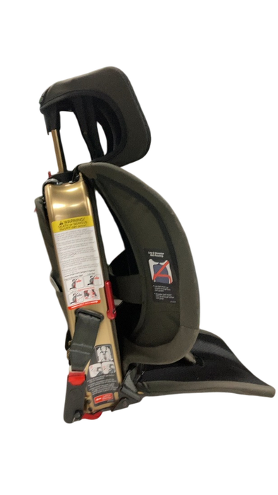 Shop WAYB Pico Portable Car Seat, 2022, Earth at GoodBuy Gear