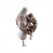 Shop BabyBjorn Baby Carrier Mini, Beige/Leopard Cotton at GoodBuy Gear