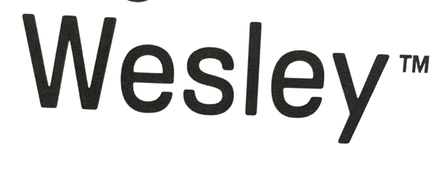 Shop Ingenuity Every Season Swing 'n Go Portable Swing, Wesley at GoodBuy Gear