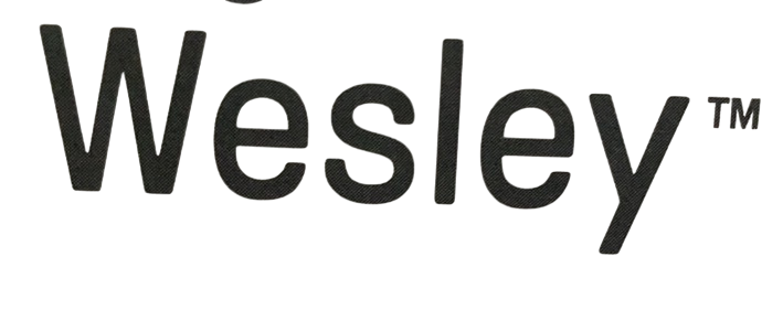 Shop Ingenuity Every Season Swing 'n Go Portable Swing, Wesley at GoodBuy Gear