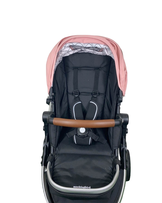 used Standard Strollers