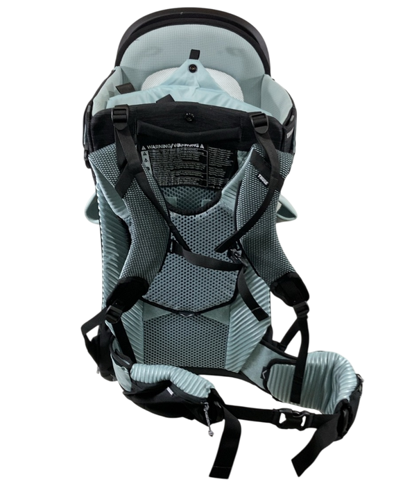 Shop Thule Sapling Child Carrier, Alaska Blue at GoodBuy Gear