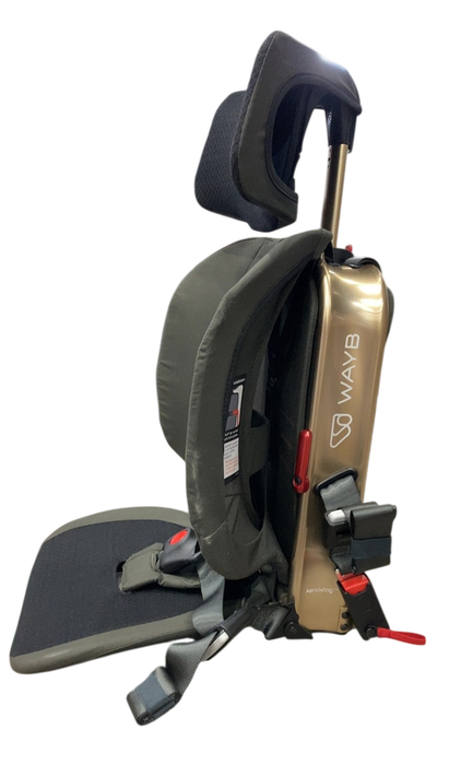 Shop WAYB Pico Portable Car Seat, 2022, Earth at GoodBuy Gear