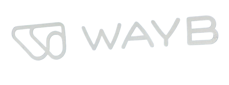 Shop WAYB Pico Portable Car Seat, 2023, Midnight Sky at GoodBuy Gear