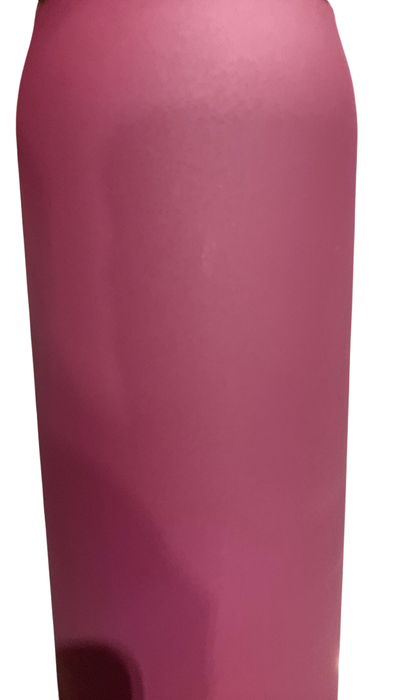 Shop Ceres Chill Legacy Breastmilk Chiller (32oz), Plum at GoodBuy Gear