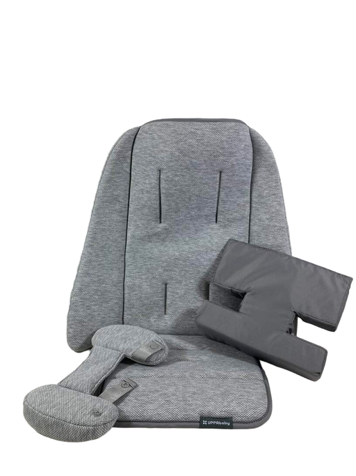 Shop UPPAbaby Infant SnugSeat, Grey at GoodBuy Gear