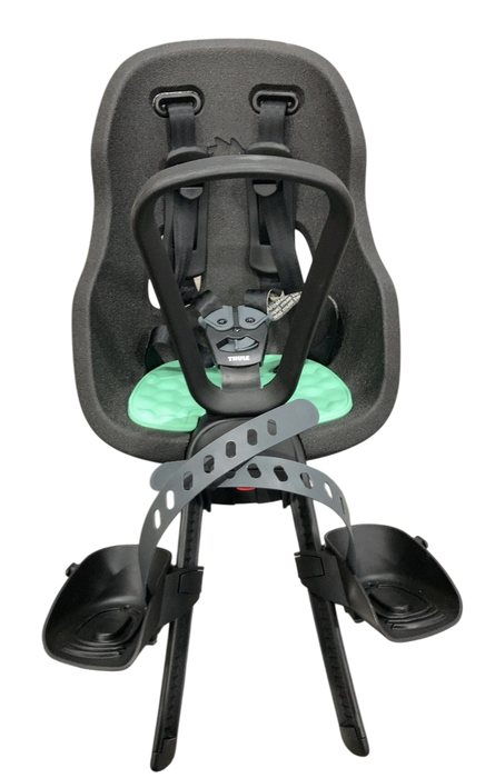 Shop Thule Yepp Nexxt 2 Mini, Mint Green at GoodBuy Gear