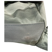 Shop Thule Sapling Child Carrier, Agave at GoodBuy Gear