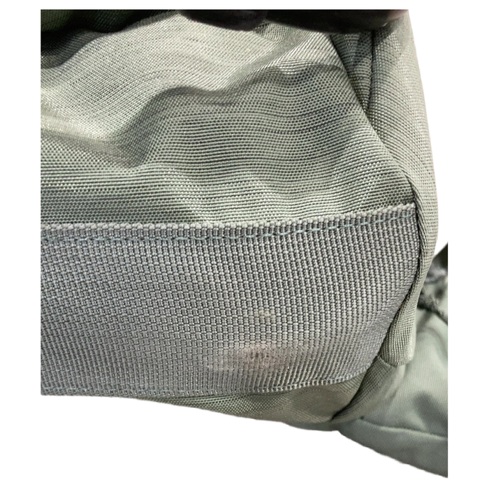Shop Thule Sapling Child Carrier, Agave at GoodBuy Gear