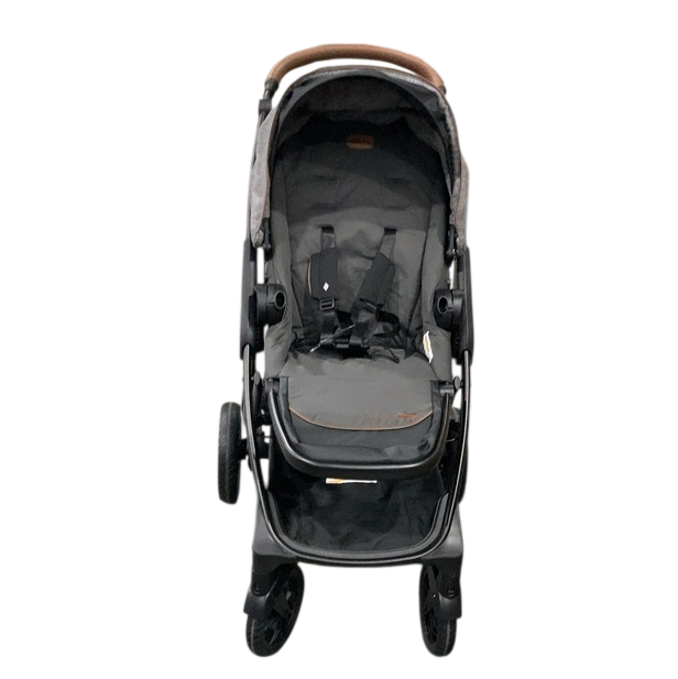 Shop Chicco Corso Primo Stroller, 2025, Summit at GoodBuy Gear