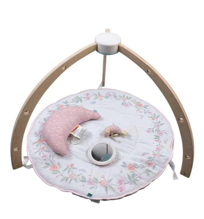 Shop Aden + Anais Play + Discover Baby Activity Gym, Ma Fluer at GoodBuy Gear