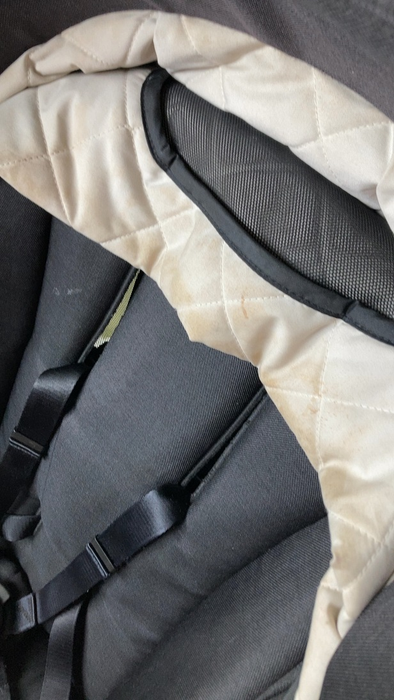 Shop Nuna Demi Grow Sibling Seat, 2022, Caviar at GoodBuy Gear