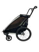 Shop Thule Chariot Lite Bike Trailer Stroller 2 Seat , 2021, Agave Black at GoodBuy Gear