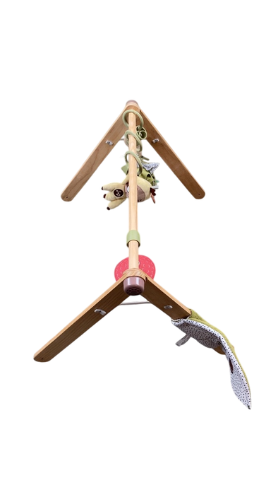 Shop Tiny Love Boho Chic Luxe Developmental Gymini at GoodBuy Gear