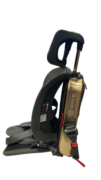 Shop WAYB Pico Portable Car Seat, 2023, Earth at GoodBuy Gear