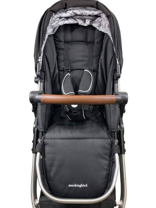 used Standard Strollers