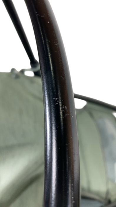 Shop Thule Sapling Child Carrier, Agave at GoodBuy Gear