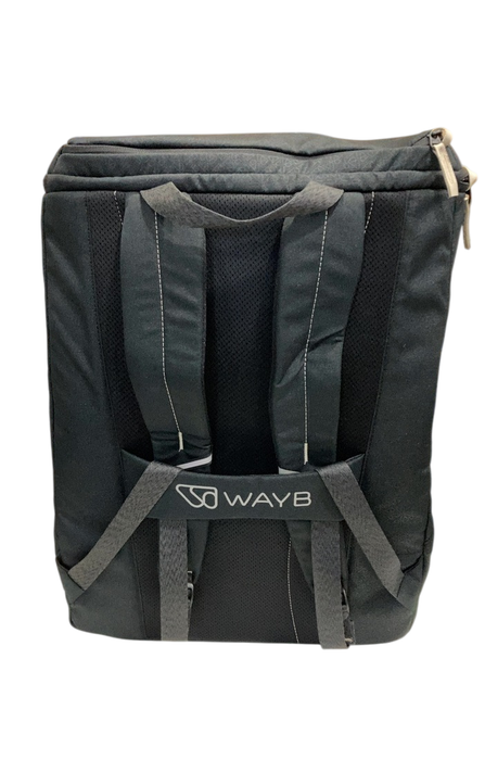 Shop WAYB Pico Portable Car Seat, 2024, Earth at GoodBuy Gear