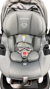 Shop UPPAbaby Aria Infant Car Seat, 2024, Anthony at GoodBuy Gear