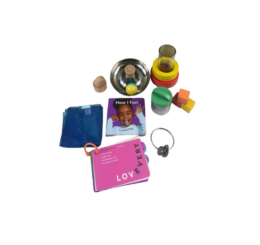 Shop Lovevery The Explorer Play Kit at GoodBuy Gear