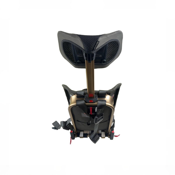 Shop WAYB Pico Portable Car Seat, 2022, Earth at GoodBuy Gear