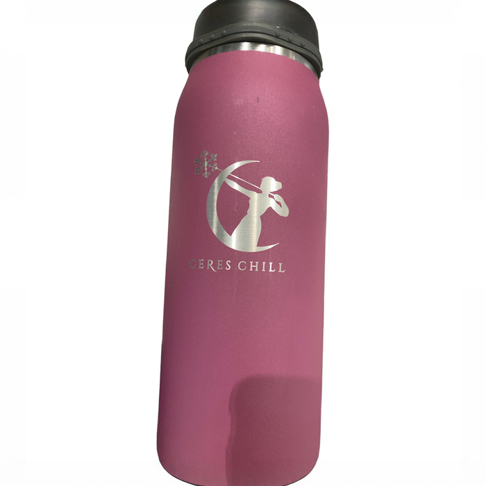 Shop Ceres Chill Legacy Breastmilk Chiller (32oz), Plum at GoodBuy Gear