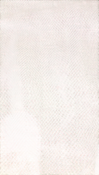 no bg image