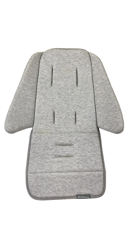 Shop UPPAbaby Infant SnugSeat, Grey at GoodBuy Gear