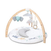 used Aden + Anais Play + Discover Baby Activity Gym, Rising Star