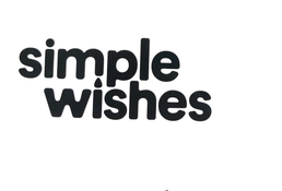 Shop Simple Wishes Hands Free Pumping Bra, Black, Large to Plus at GoodBuy Gear