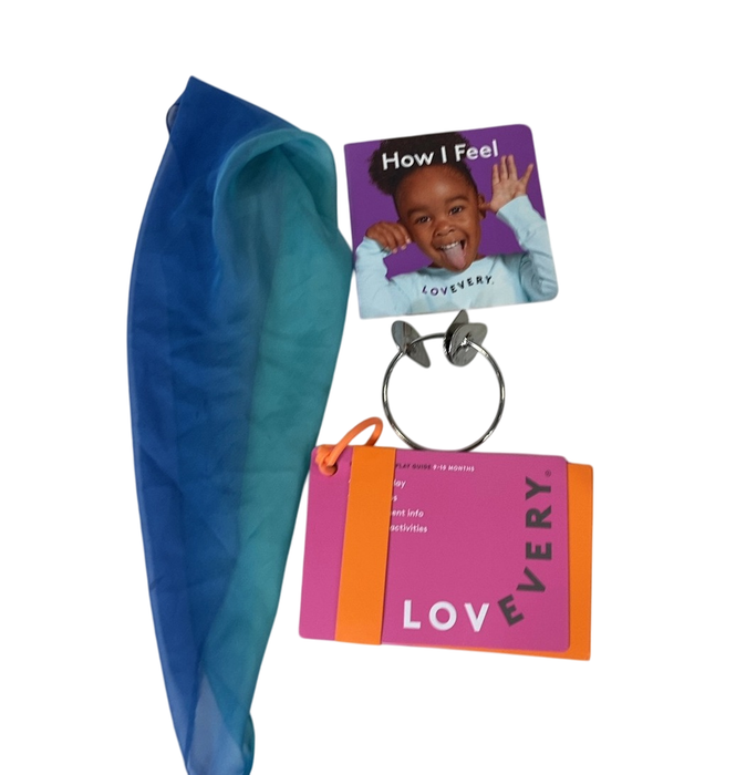 Shop Lovevery The Explorer Play Kit at GoodBuy Gear