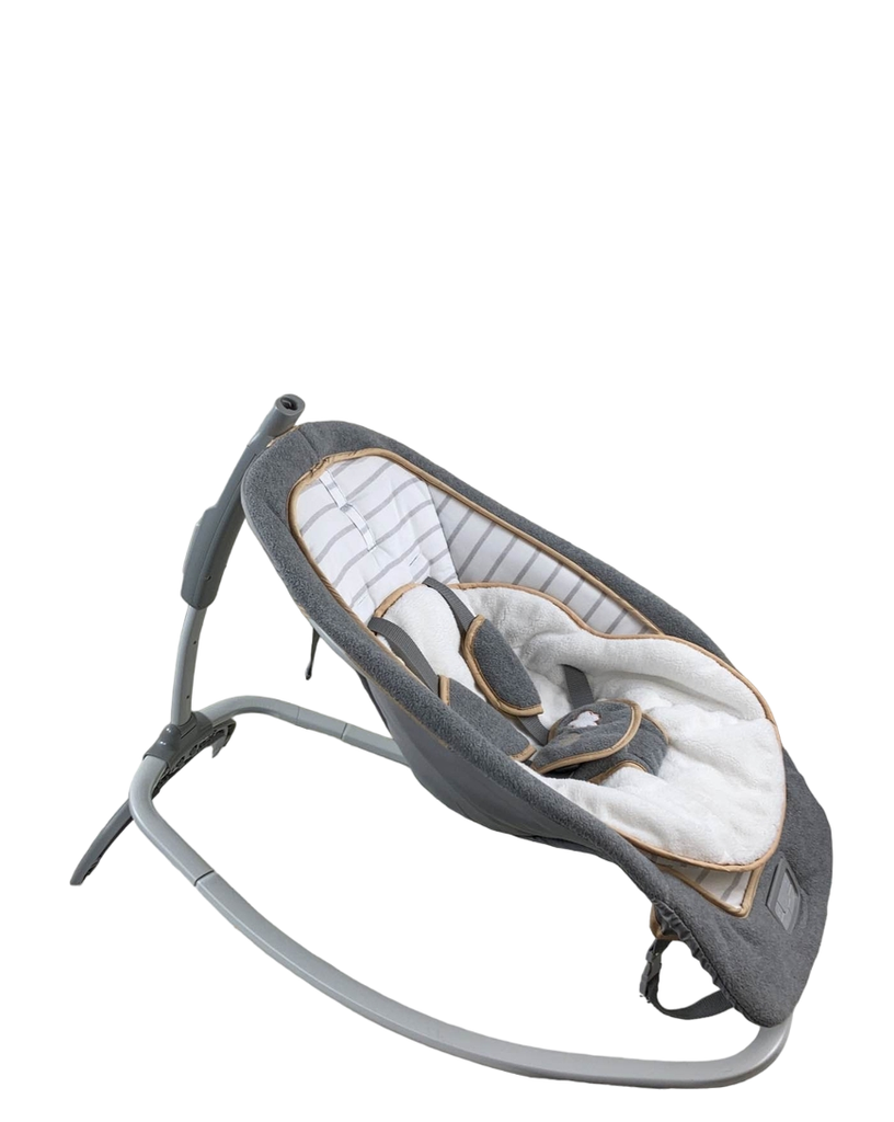 Ingenuity Rocking Seat, Bella Teddy