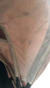 Shop UPPAbaby CRUZ V2 Stroller, 2021, Alice (Dusty Pink) at GoodBuy Gear