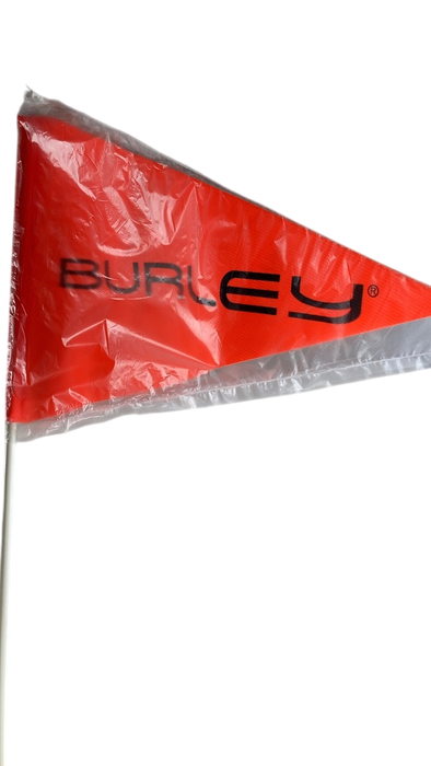 Shop Burley D’Lite X Bicycle Trailer Single, Aqua at GoodBuy Gear