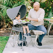 Shop Baby Delight Go With Me Uplift Deluxe Portable High Chair, Grey at GoodBuy Gear
