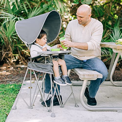Shop Baby Delight Go With Me Uplift Deluxe Portable High Chair, Grey at GoodBuy Gear