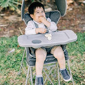 Shop Baby Delight Go With Me Uplift Deluxe Portable High Chair, Grey at GoodBuy Gear