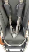 Shop UPPAbaby CRUZ V2 Stroller, 2021, Alice (Dusty Pink) at GoodBuy Gear