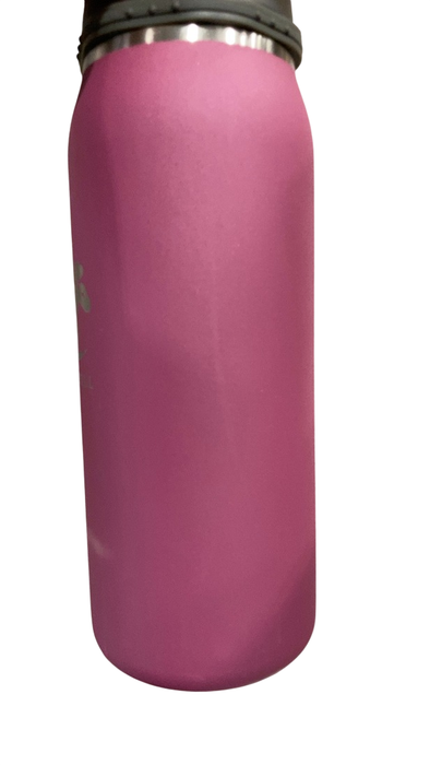 Shop Ceres Chill Legacy Breastmilk Chiller (32oz), Plum at GoodBuy Gear