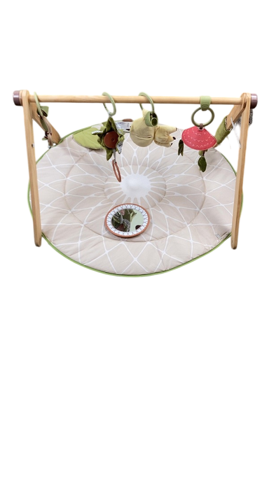 Shop Tiny Love Boho Chic Luxe Developmental Gymini at GoodBuy Gear