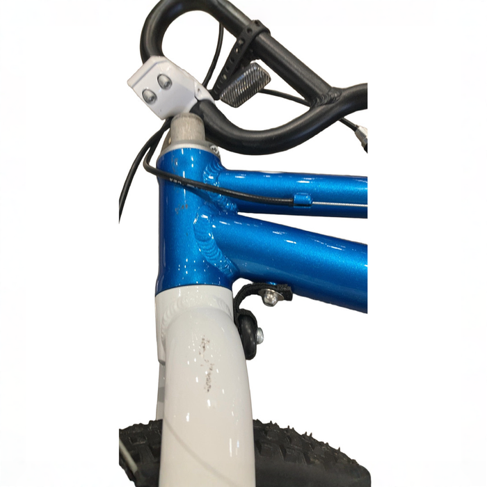 Shop Woom GO 2 Bike- 14”, Metallic Blue at GoodBuy Gear